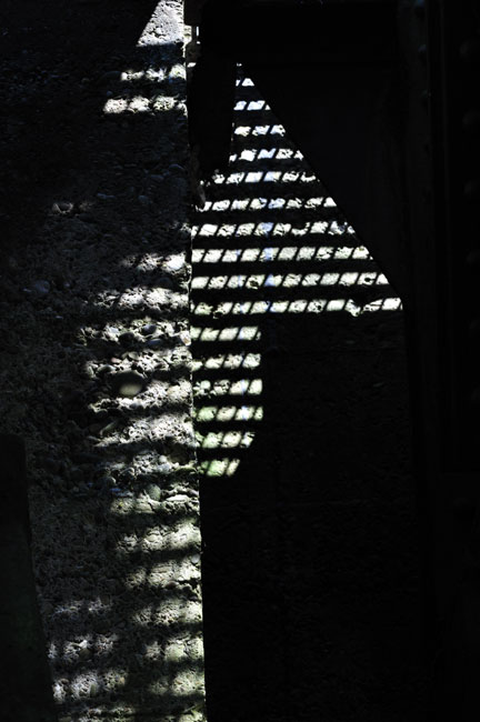 img/DSC_1100.jpg