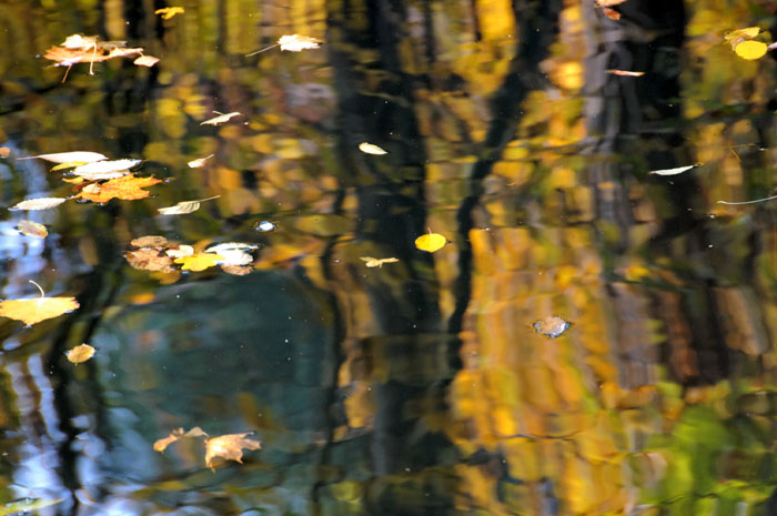 img/DSC_3684_DxO_raw.jpg