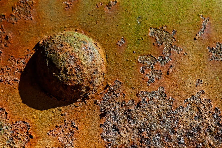 img/DSC_3952.jpg