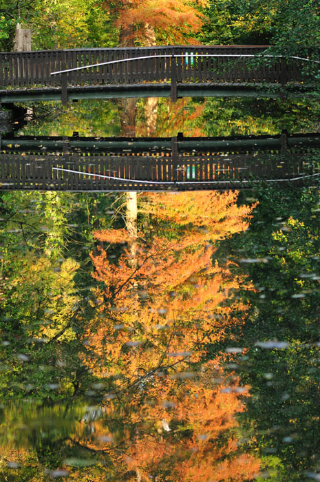 img/DSC_8882.jpg